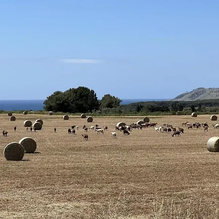 Le Capase Salento 4* سانتا سيزاريا تيرمي