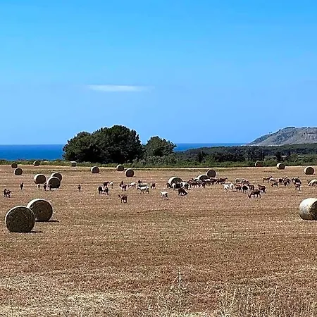 Le Capase Salento