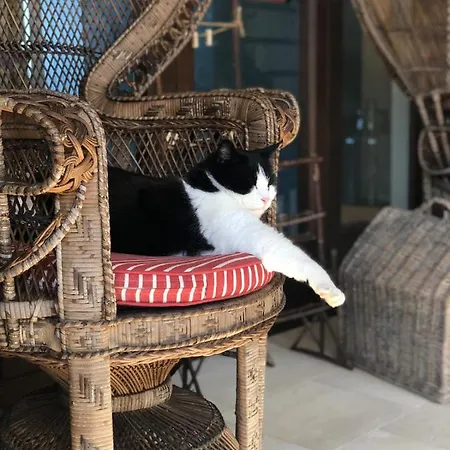 Le Capase Salento Santa Cesarea Terme