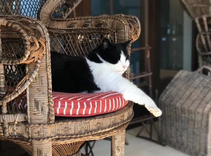 Le Capase Salento Санта-Чезареа-Терме